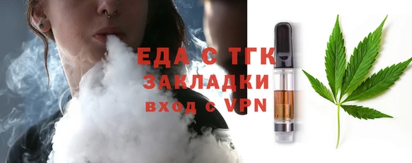 шишки Новодвинск