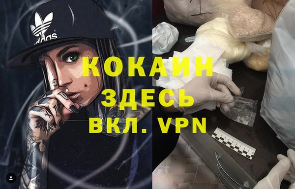 гашик Алексеевка