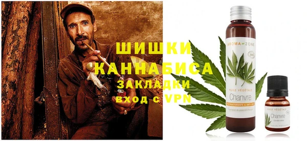 шишки Алексин
