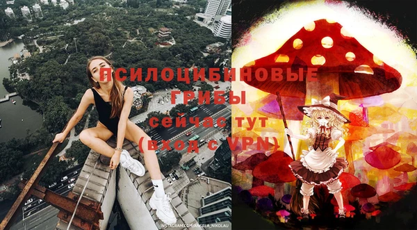 шишки Алексин