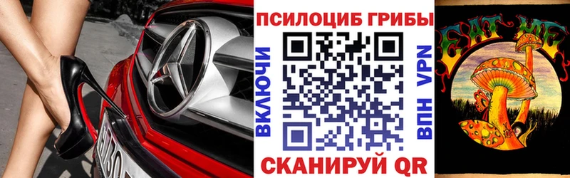купить   Нефтекамск  Псилоцибиновые грибы мицелий 