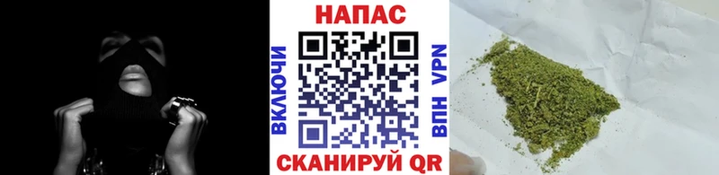 Шишки марихуана сатива  ссылка на мегу рабочий сайт  Нефтекамск 
